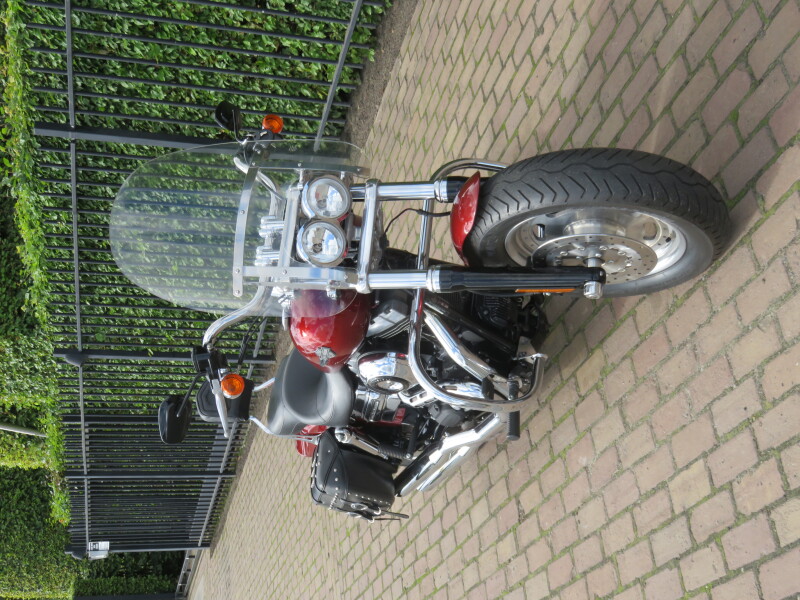 Fatbob custom 