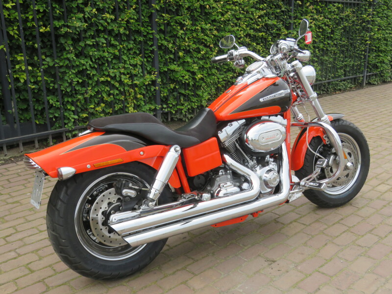 Fatbob cvo