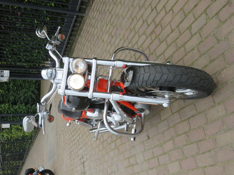 Fatbob cvo