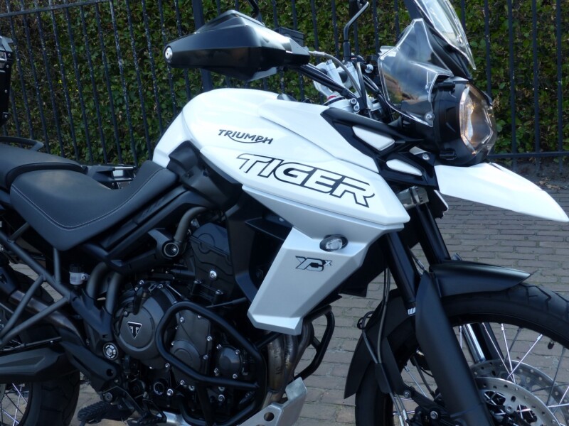 Tiger 800 XCX