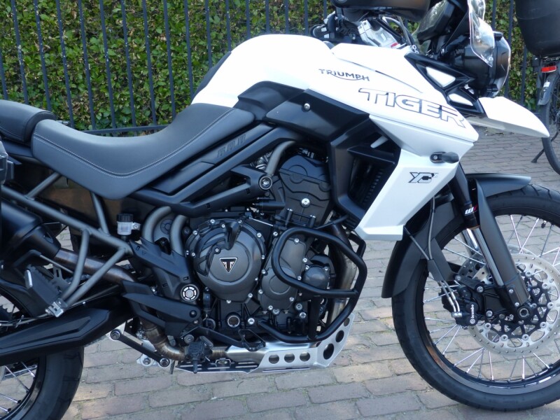 Tiger 800 XCX