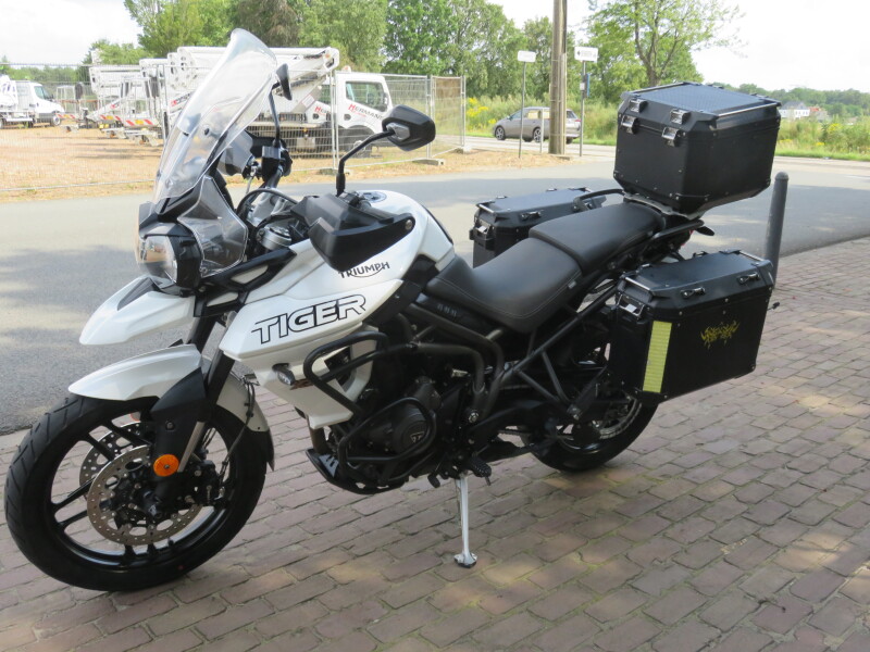 Tiger 800 xrx low 